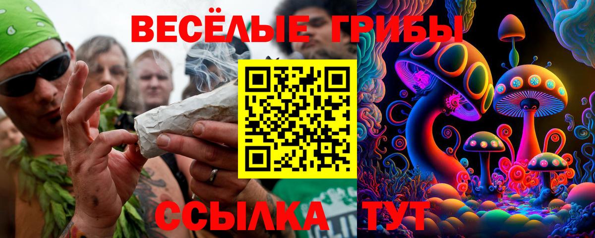 Десногорск  Псилоцибиновые грибы Cubensis  Вход с VPN 
