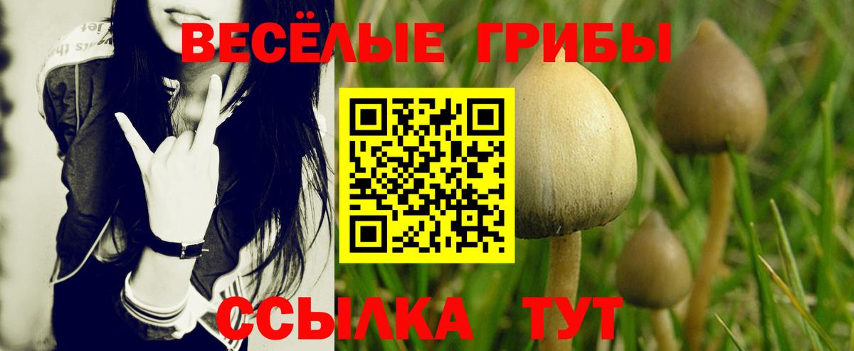 Галлюциногенные грибы мухоморы Десногорск